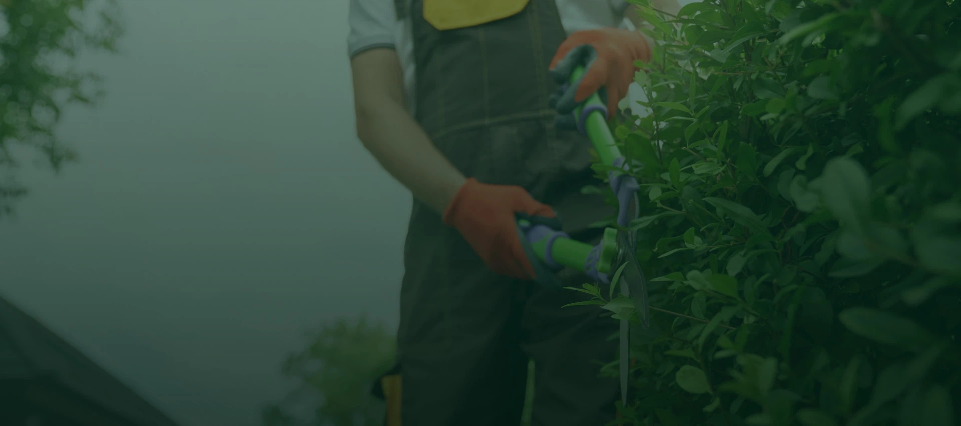 Codsall Tree Services