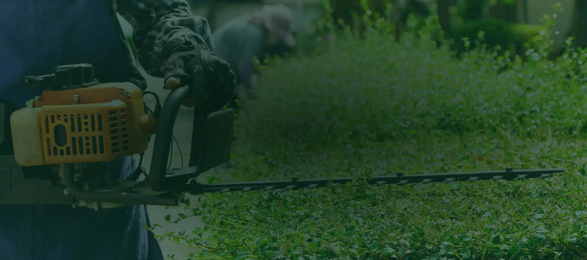 Codsall Tree Services