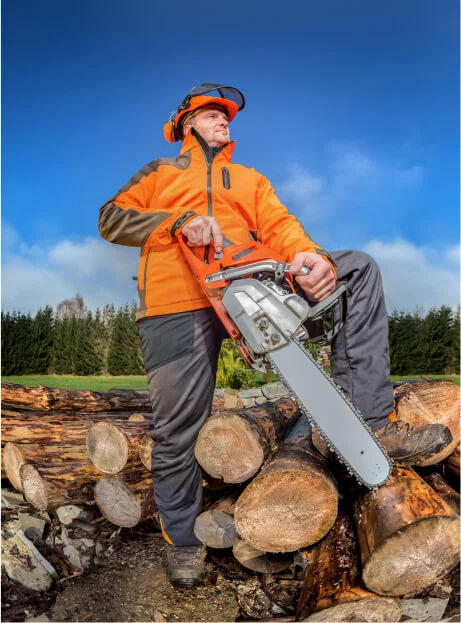 Codsall Tree Services Ltd