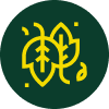 Codsall Tree Services Ltd