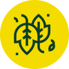 Codsall Tree Services Ltd