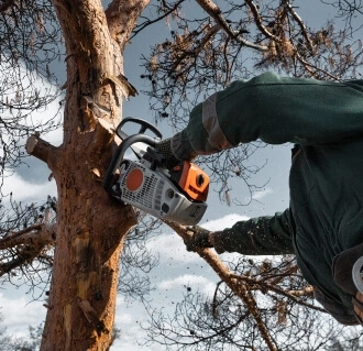 Codsall Tree Services Ltd
