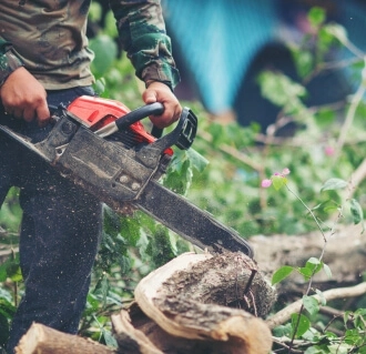 Codsall Tree Services Ltd